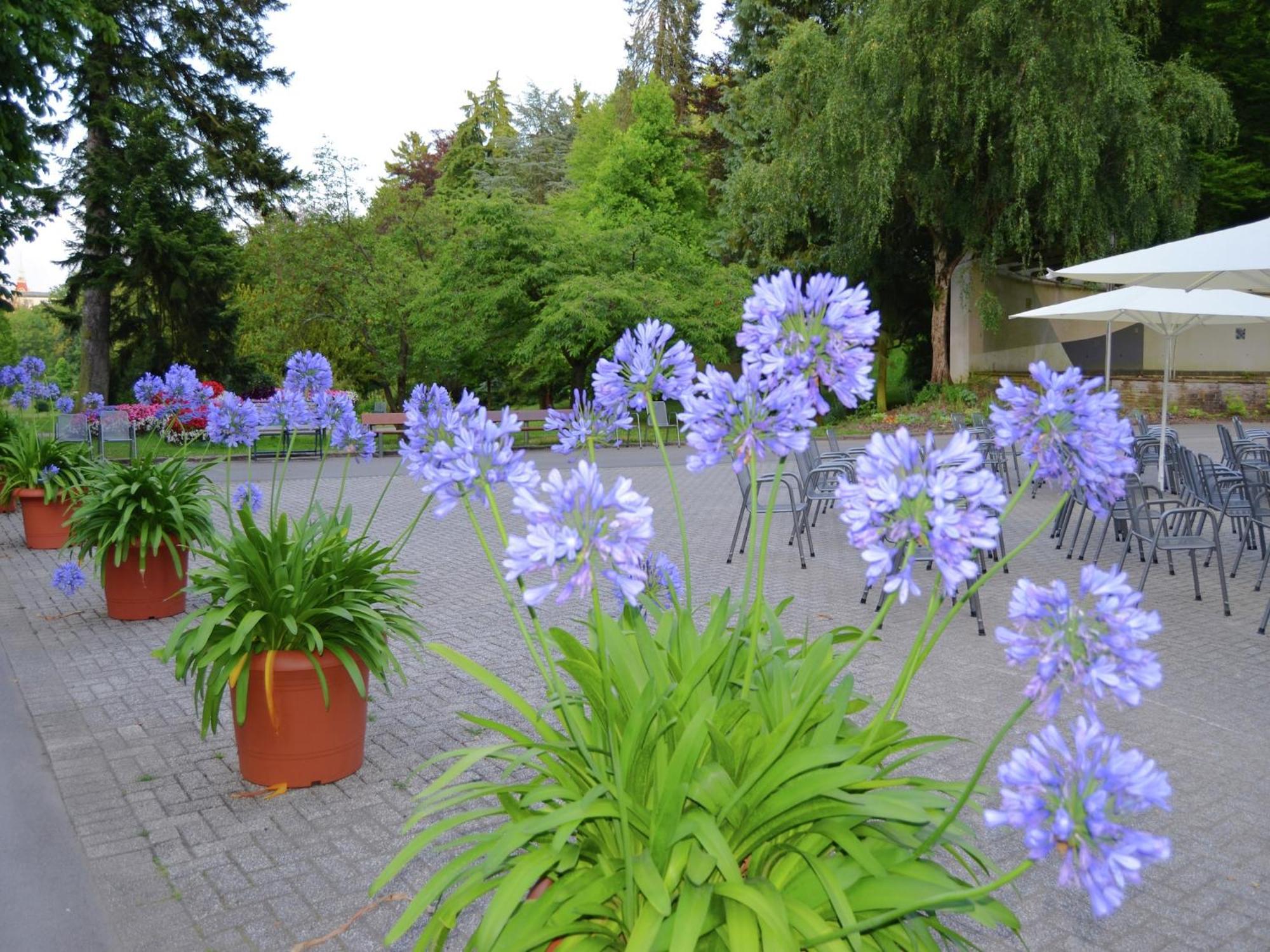 Charming Apartment With Private Terrace Bad Wildungen Zewnętrze zdjęcie